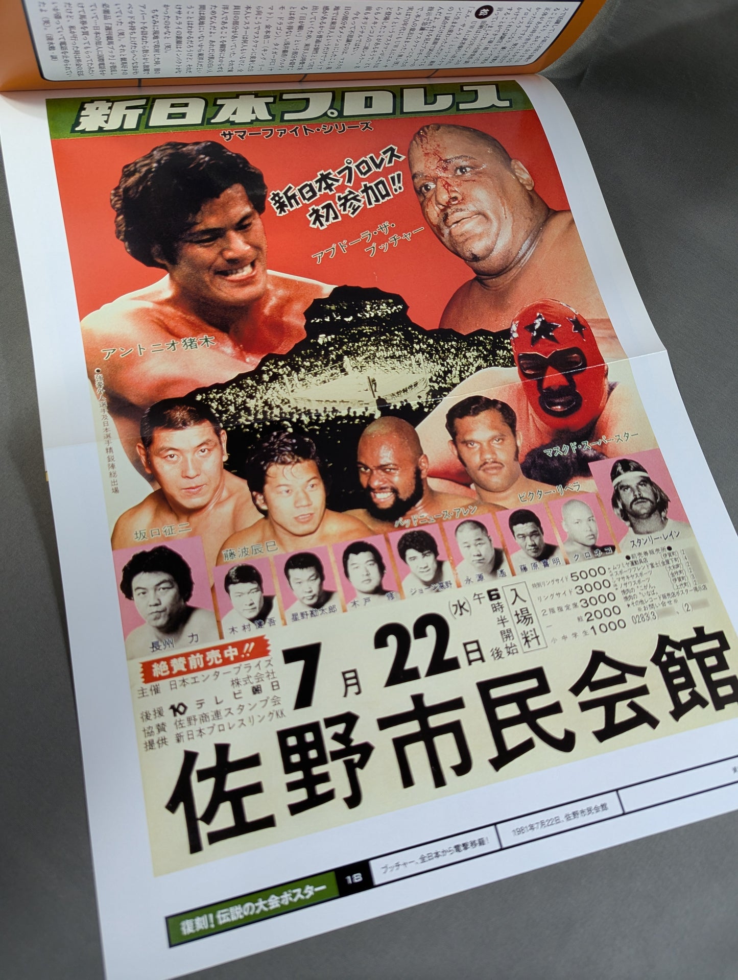 Burn! New Japan Pro Wrestling  vol.18