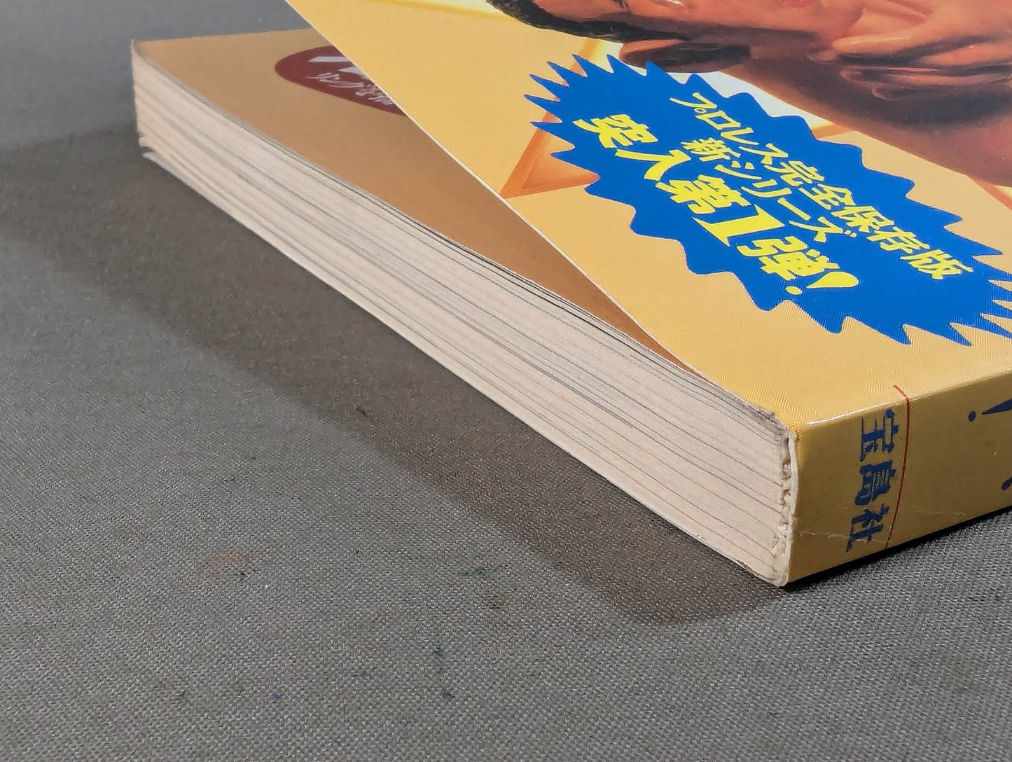 別冊宝島259 プロレスライバル読本 完全保存版!リングを揺るがす、愛と憎しみの闘い！