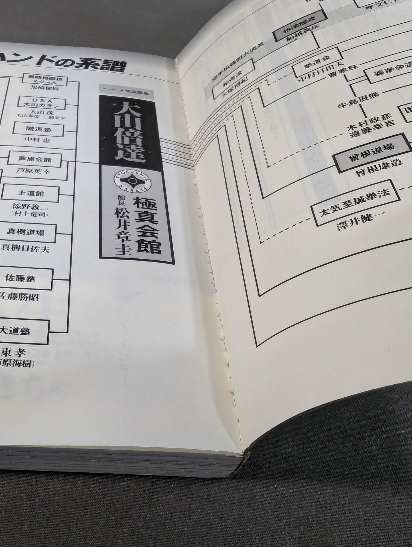 大山倍達とは何か?