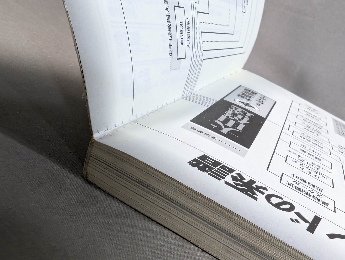 大山倍達とは何か?