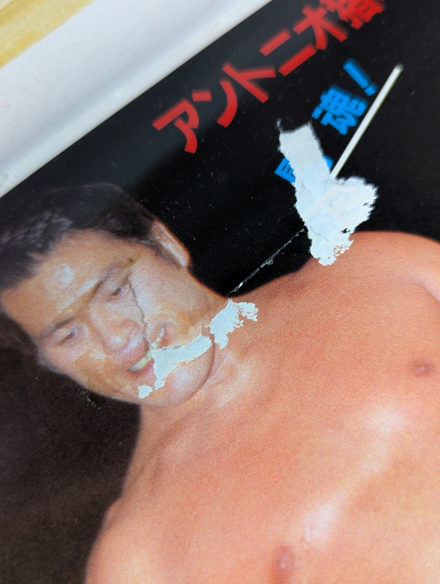 闘魂プロレス 決定版 小鉄の選んだベストバウト!