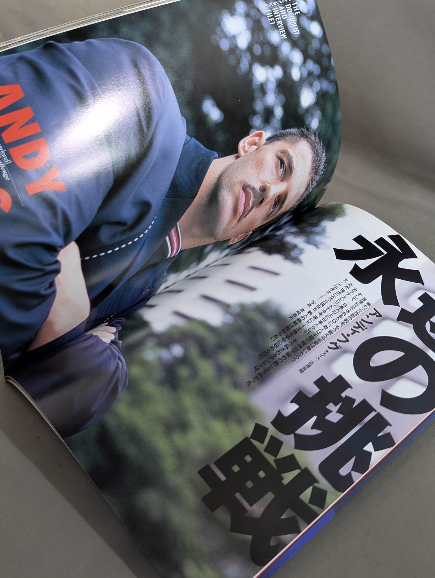 K-1 HISTORY Shodo Kaikan K-1 Official Book