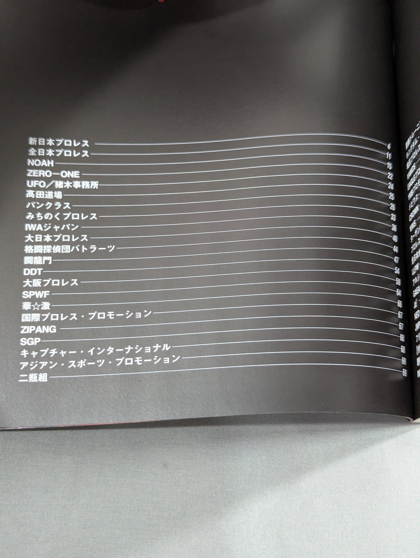プロレスラー カラー写真名鑑2002 増補改訂版