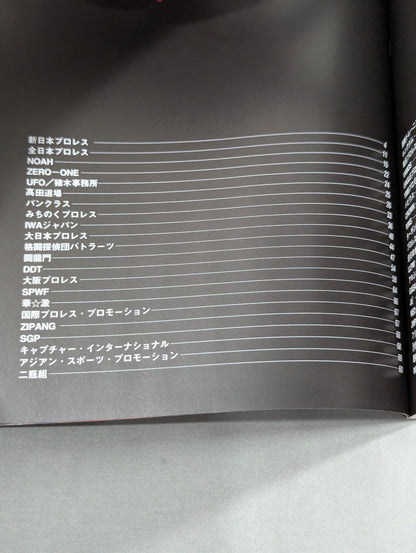 プロレスラー カラー写真名鑑2002 増補改訂版