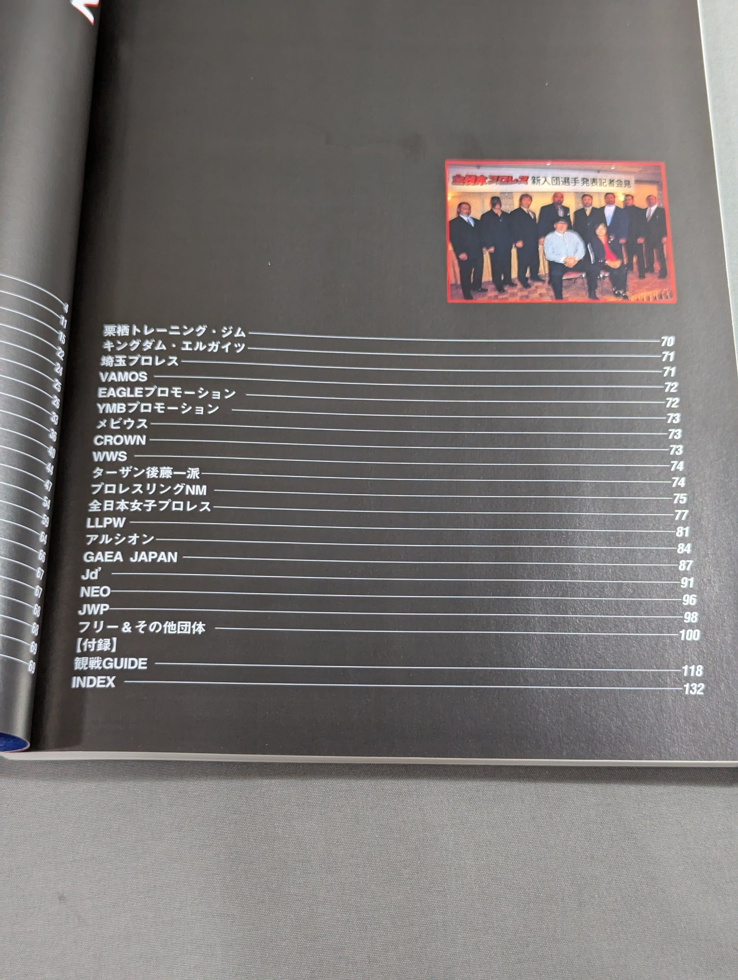 プロレスラー カラー写真名鑑2002 増補改訂版