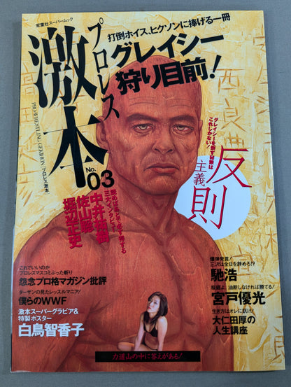 プロレス激本 No.3 (Vol.3)