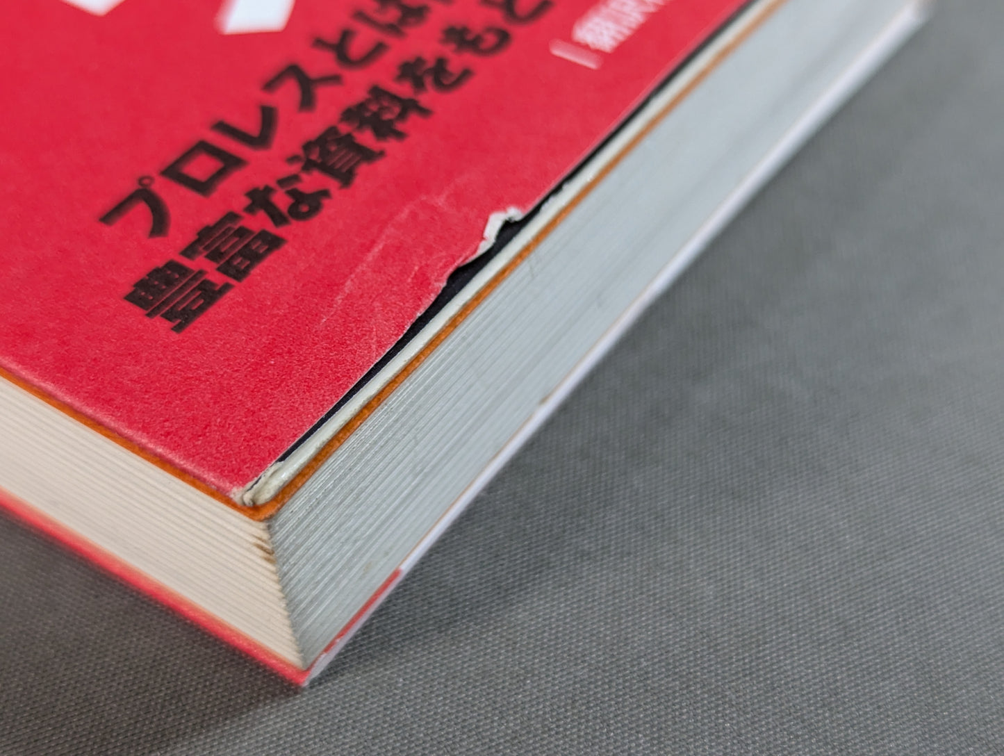 Ringside: The Truth of American Culture from Pro Wrestling