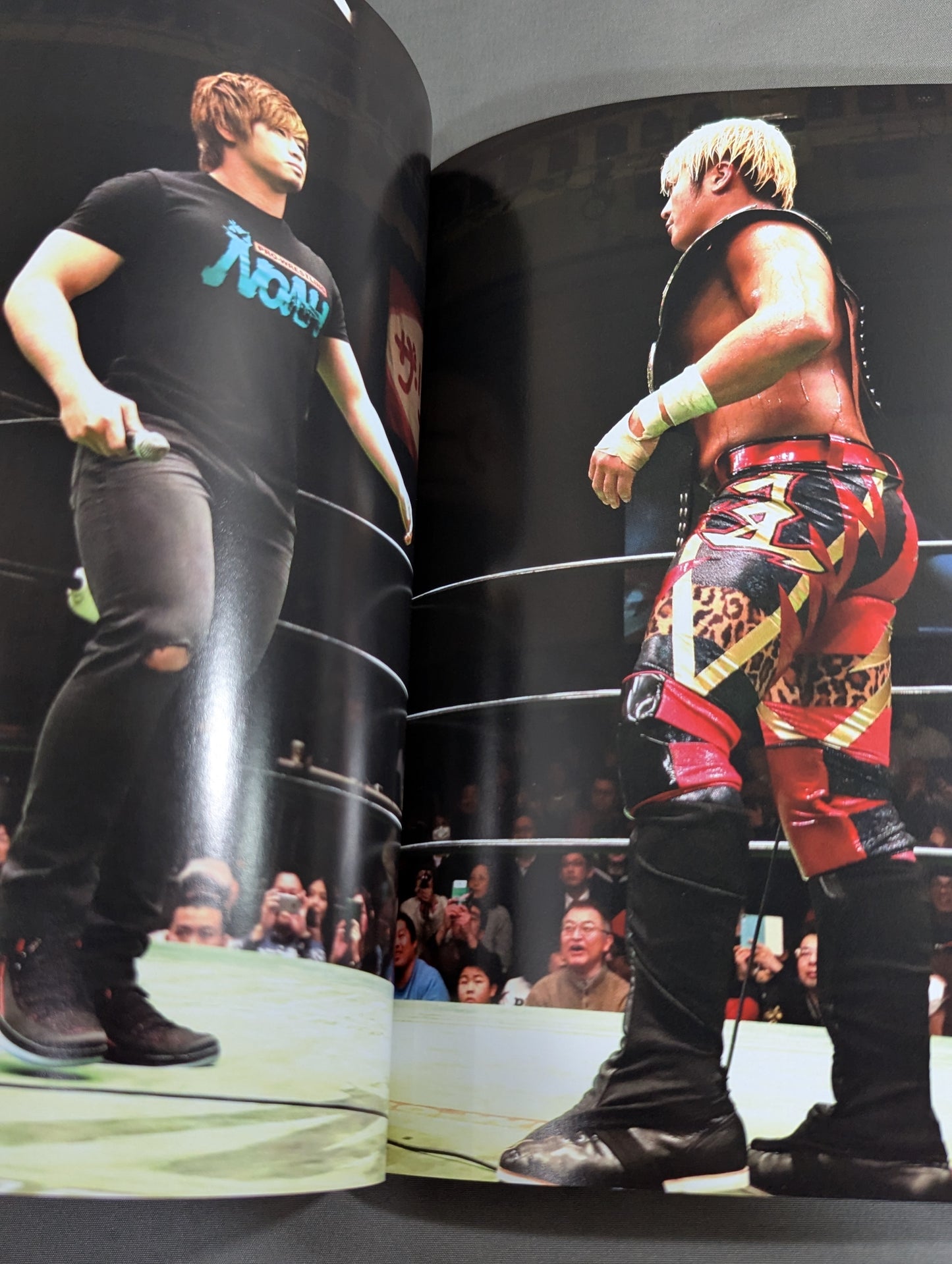 Pro-wrestling and Noah Photo Collection LIVE!