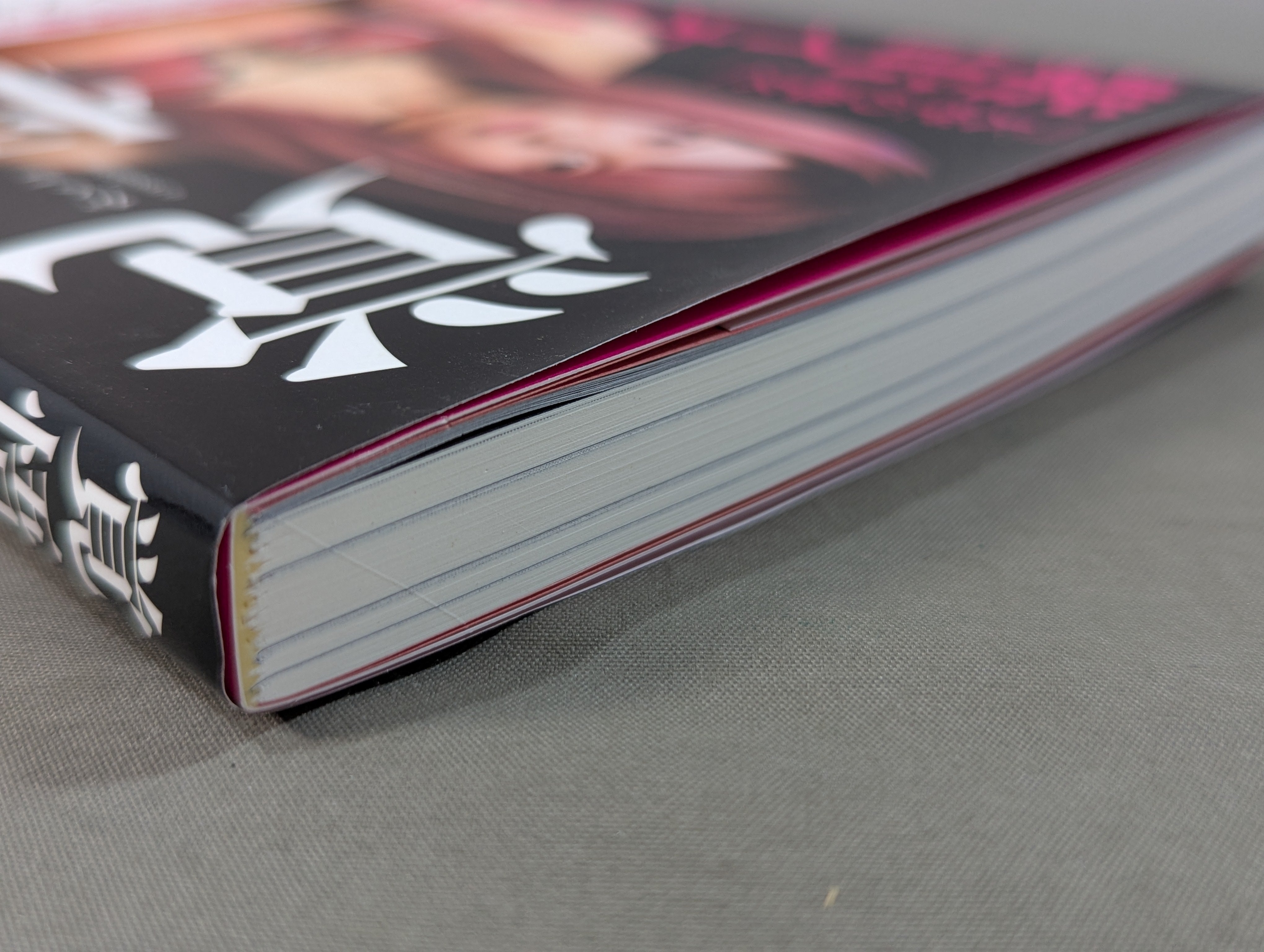 直筆サイン入り】覚悟 ～「天空の逸女」紫雷イオ自伝～ – 闘道館