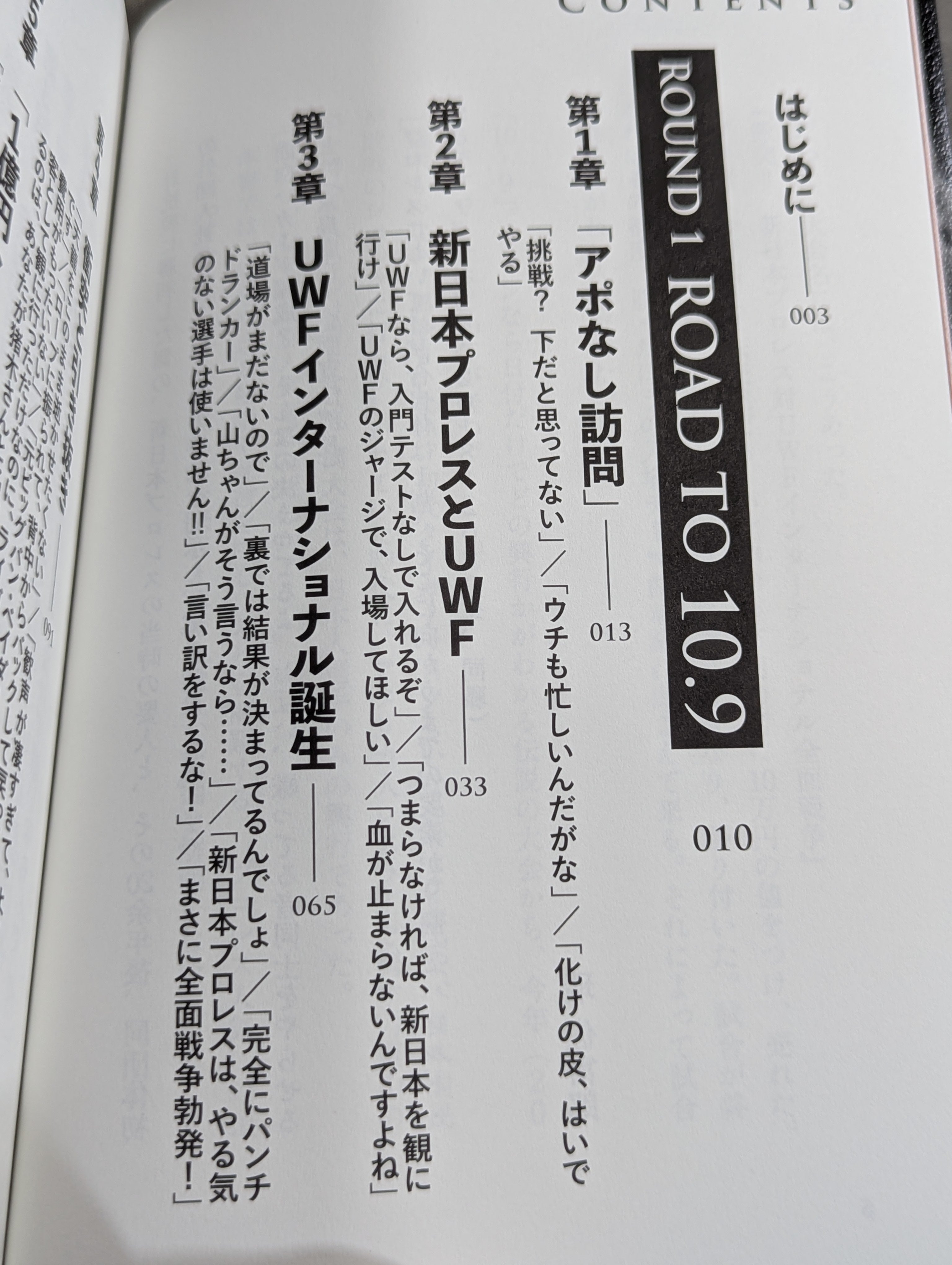 10.9 プロレスのいちばん熱い日 新日本プロレスvsUWF