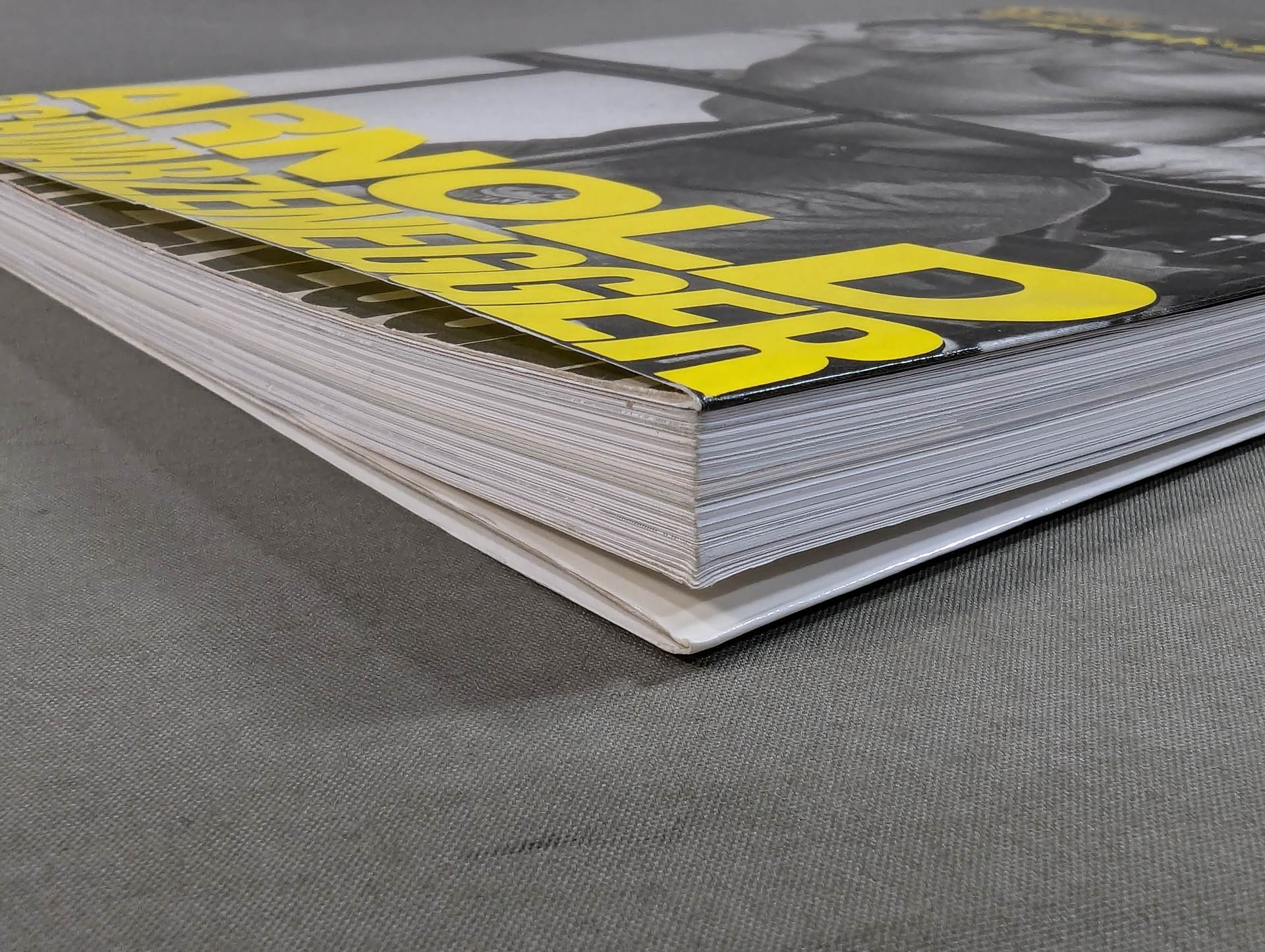 アーノルド・シュワルツェネッガー 筋肉の神話 – 闘道館