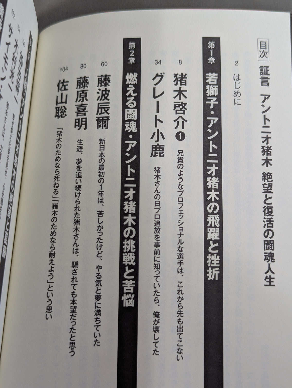 証言 アントニオ猪木 絶望と復活の闘魂人生