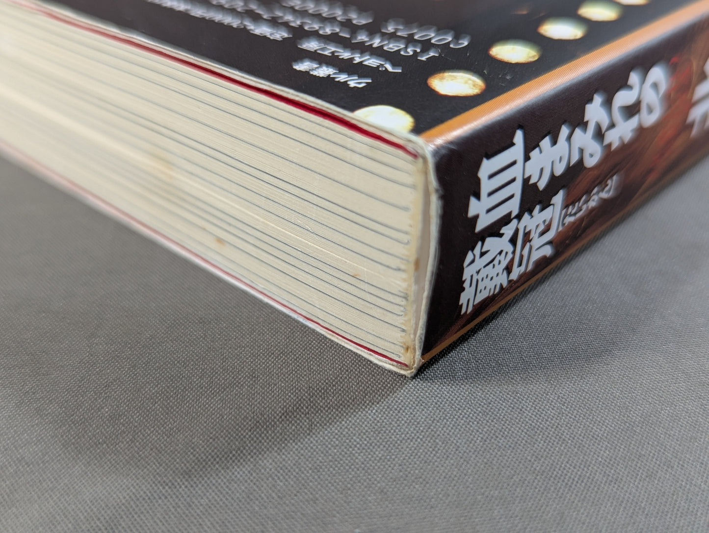 血まみれの戴冠 北斗晶自叙伝
