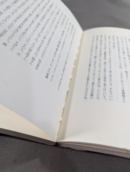 血まみれの戴冠 北斗晶自叙伝