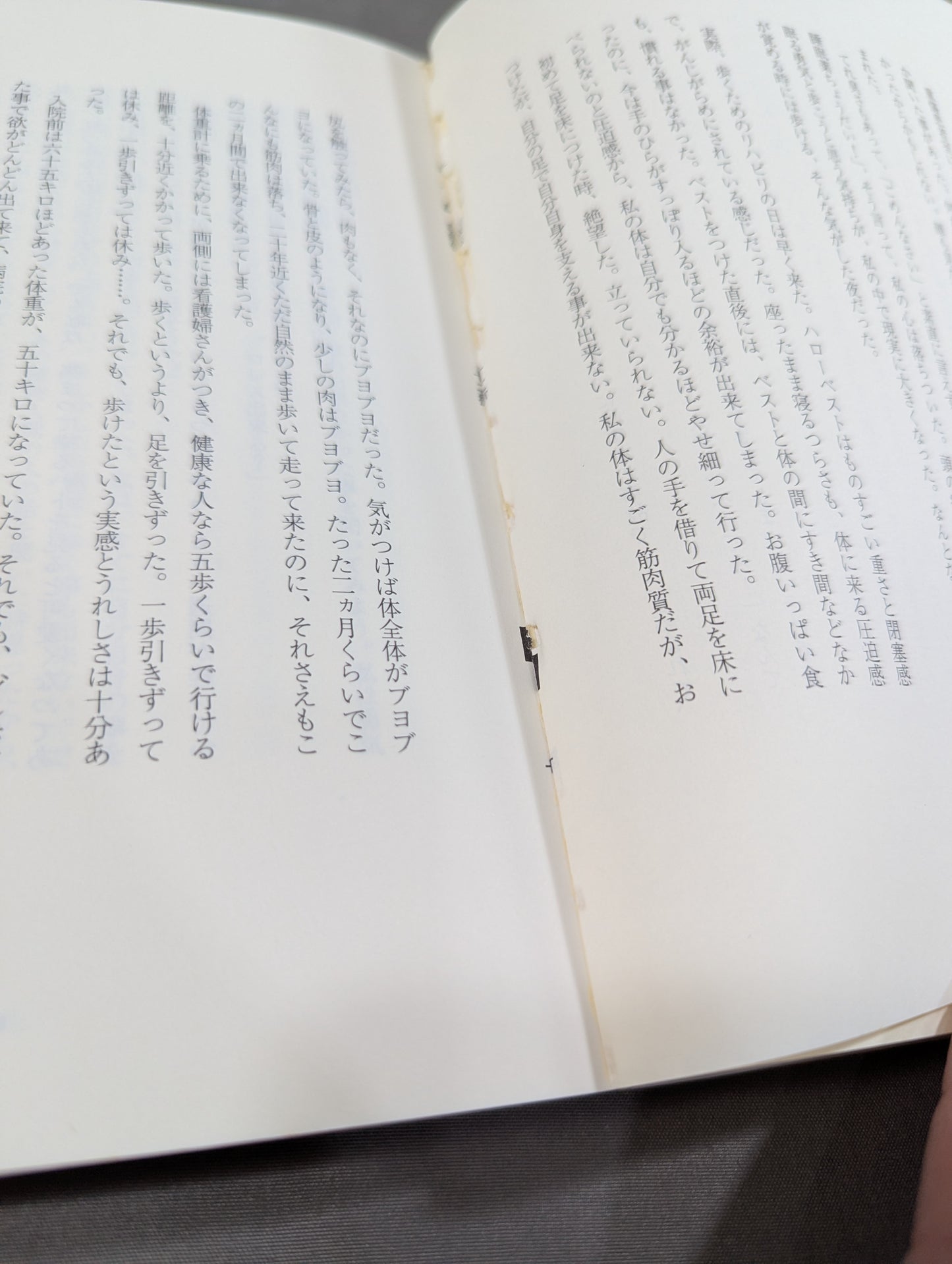 血まみれの戴冠 北斗晶自叙伝