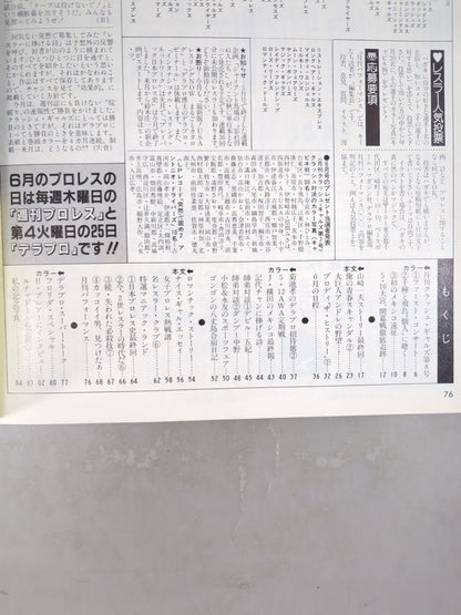 デラックスプロレス 1985年7月号