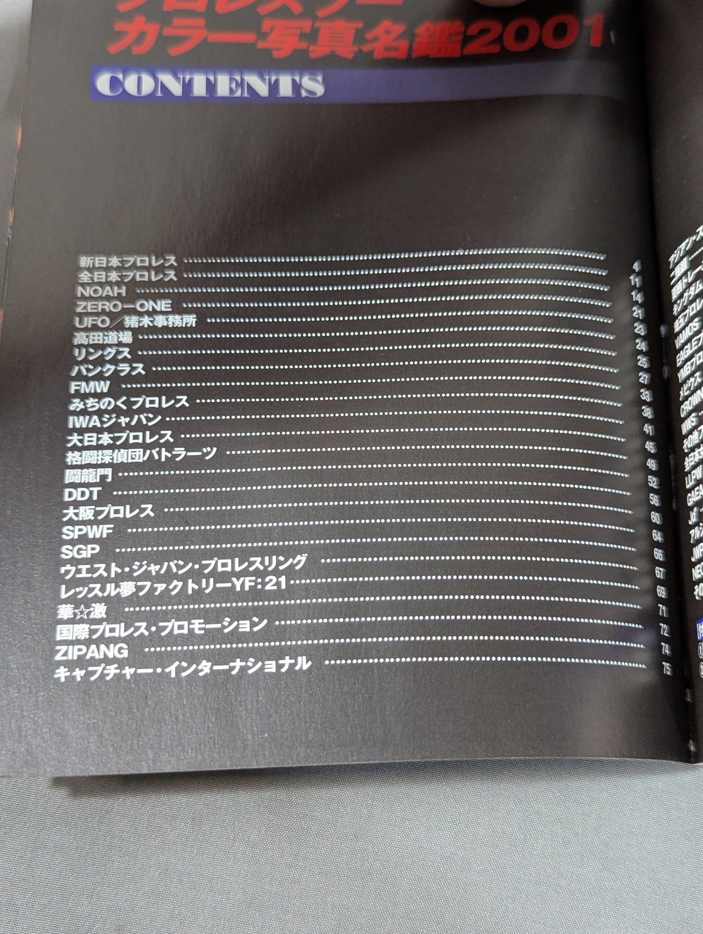 Pro Wrestler Color Photo Directory 2001 [Expanded and Revised, Mobile Version] ]