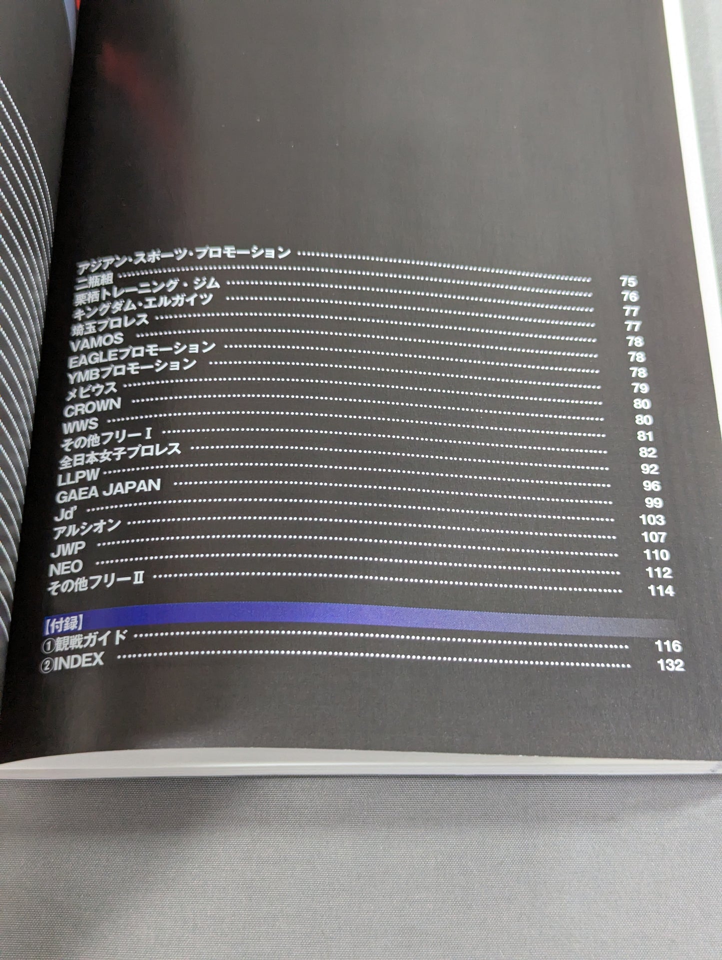 Pro Wrestler Color Photo Directory 2001 [Expanded and Revised, Mobile Version] ]