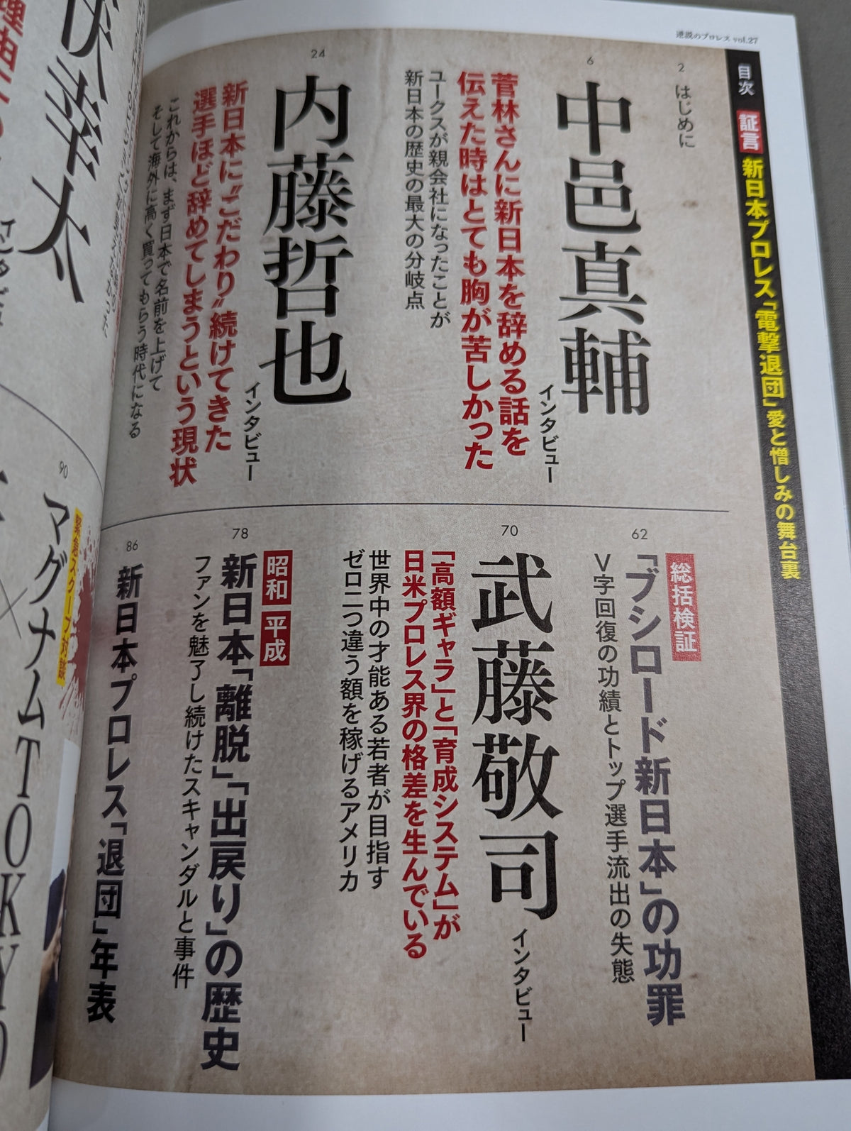 Series: Paradoxical Pro Wrestling Vol.27 Testimony New Japan Pro Wrestling "Shocking Resignation": Behind the Scenes of Love and Hate