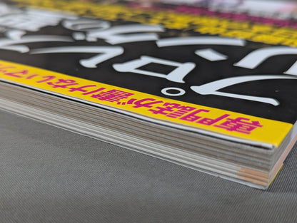 プロレスリングの聖域 専門誌が書けないマット界の「裏ネタ」が満載!