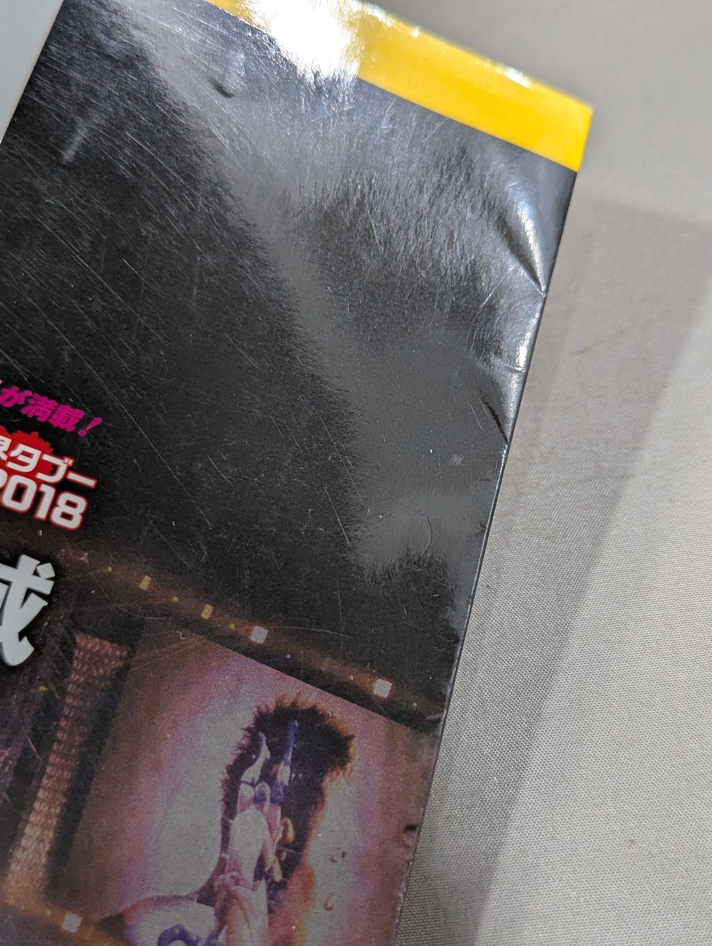 プロレスリングの聖域 専門誌が書けないマット界の「裏ネタ」が満載!