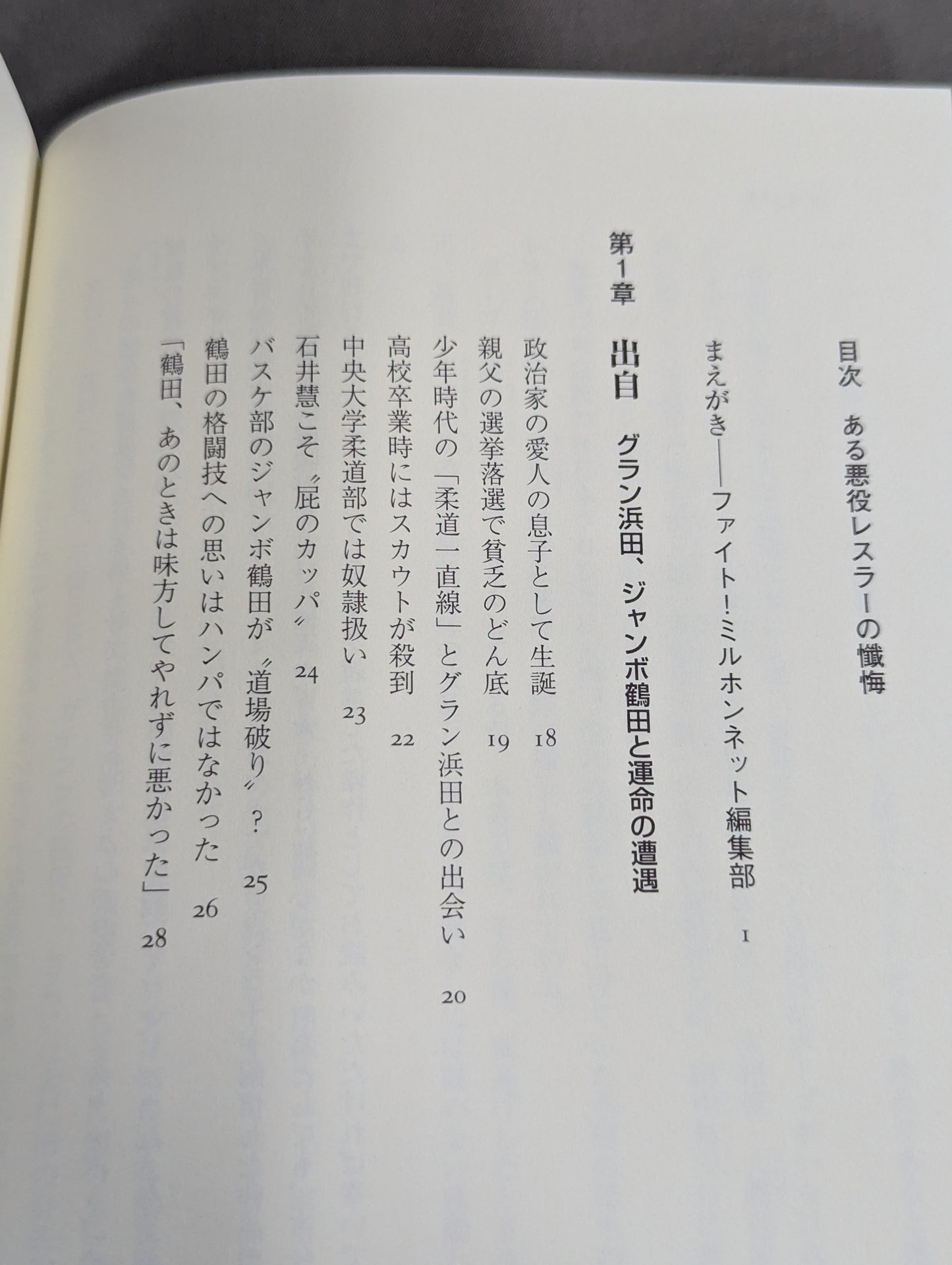ある悪役レスラーの懺悔