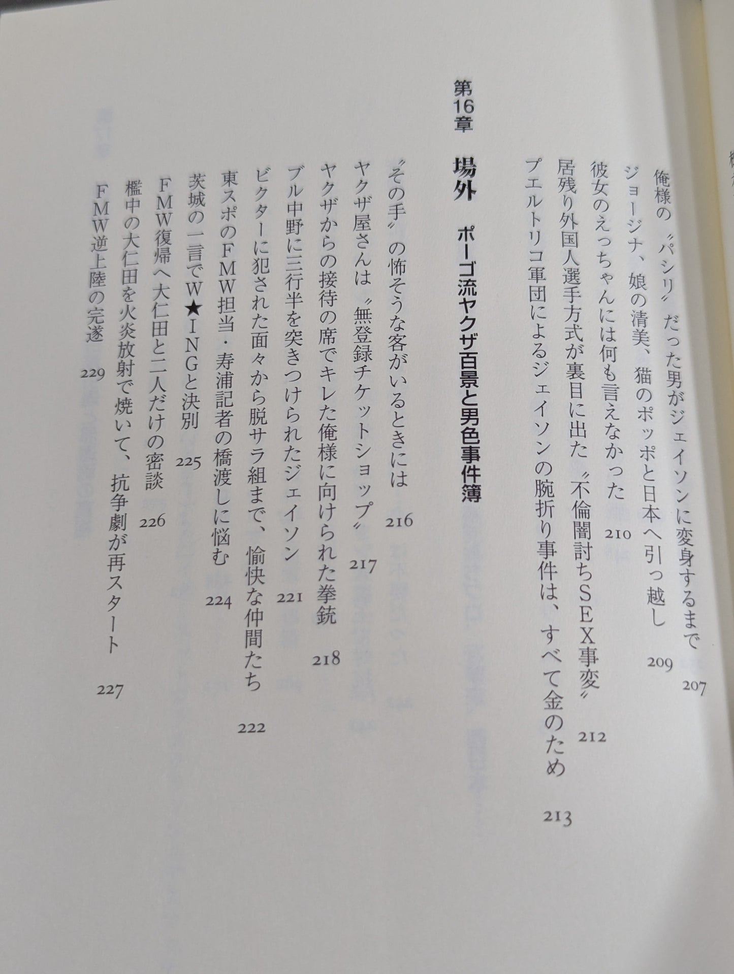 ある悪役レスラーの懺悔