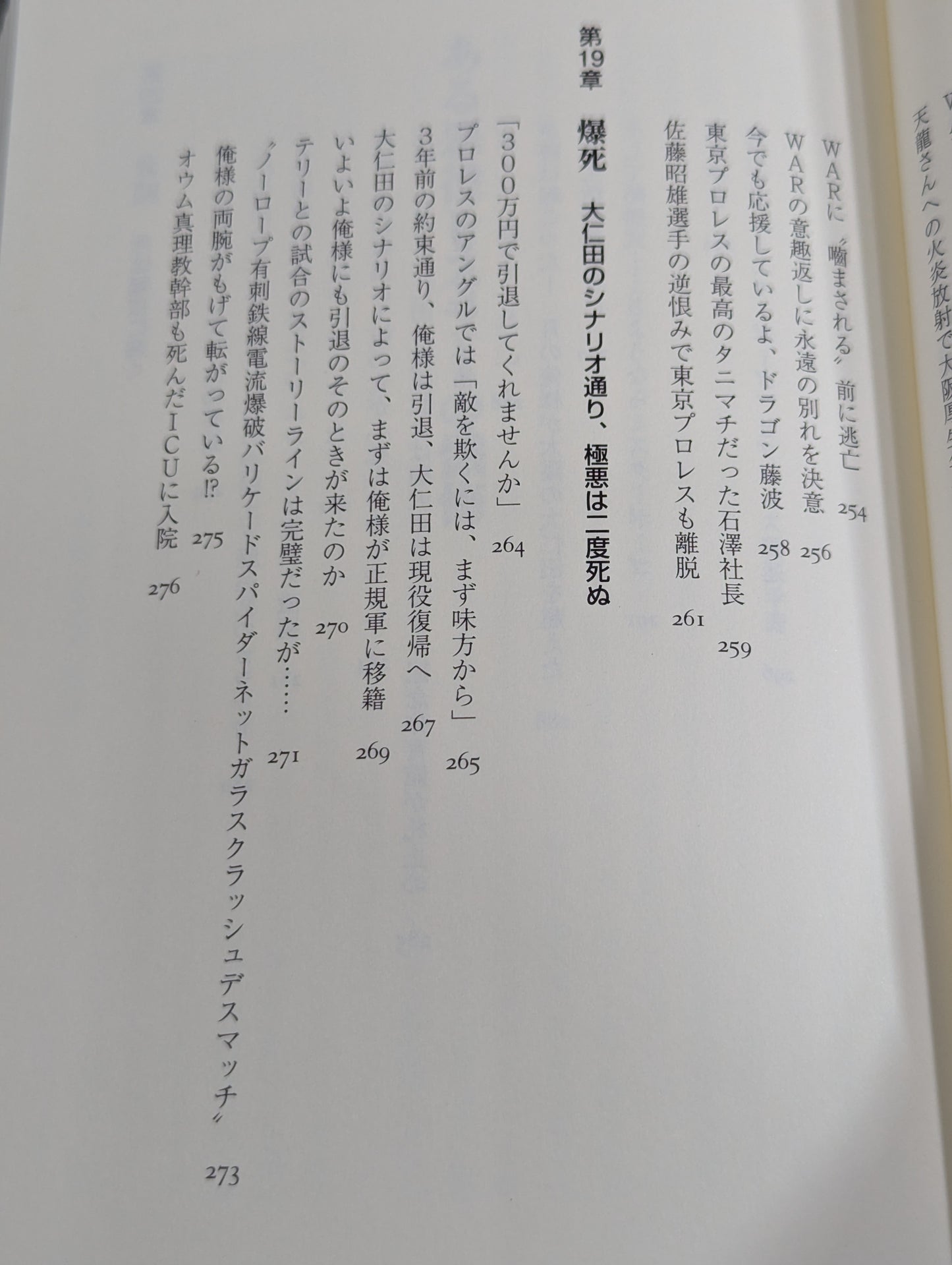 ある悪役レスラーの懺悔