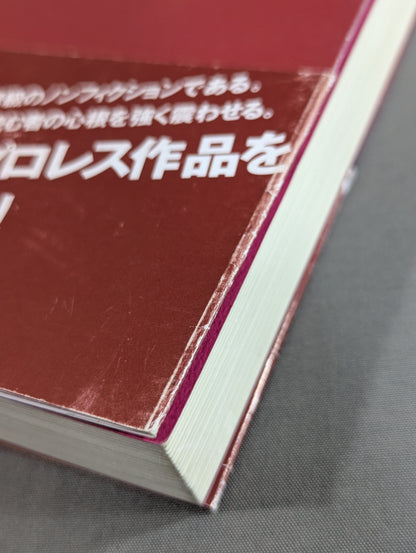 ある悪役レスラーの懺悔