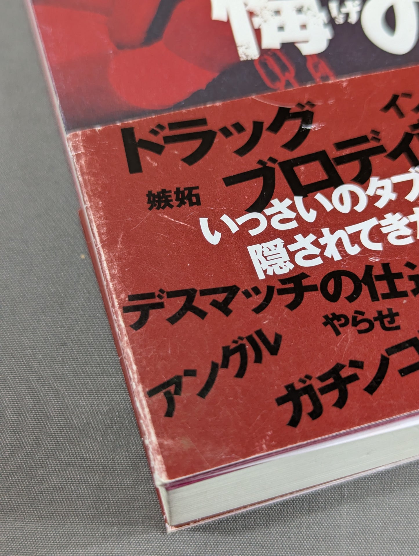 ある悪役レスラーの懺悔