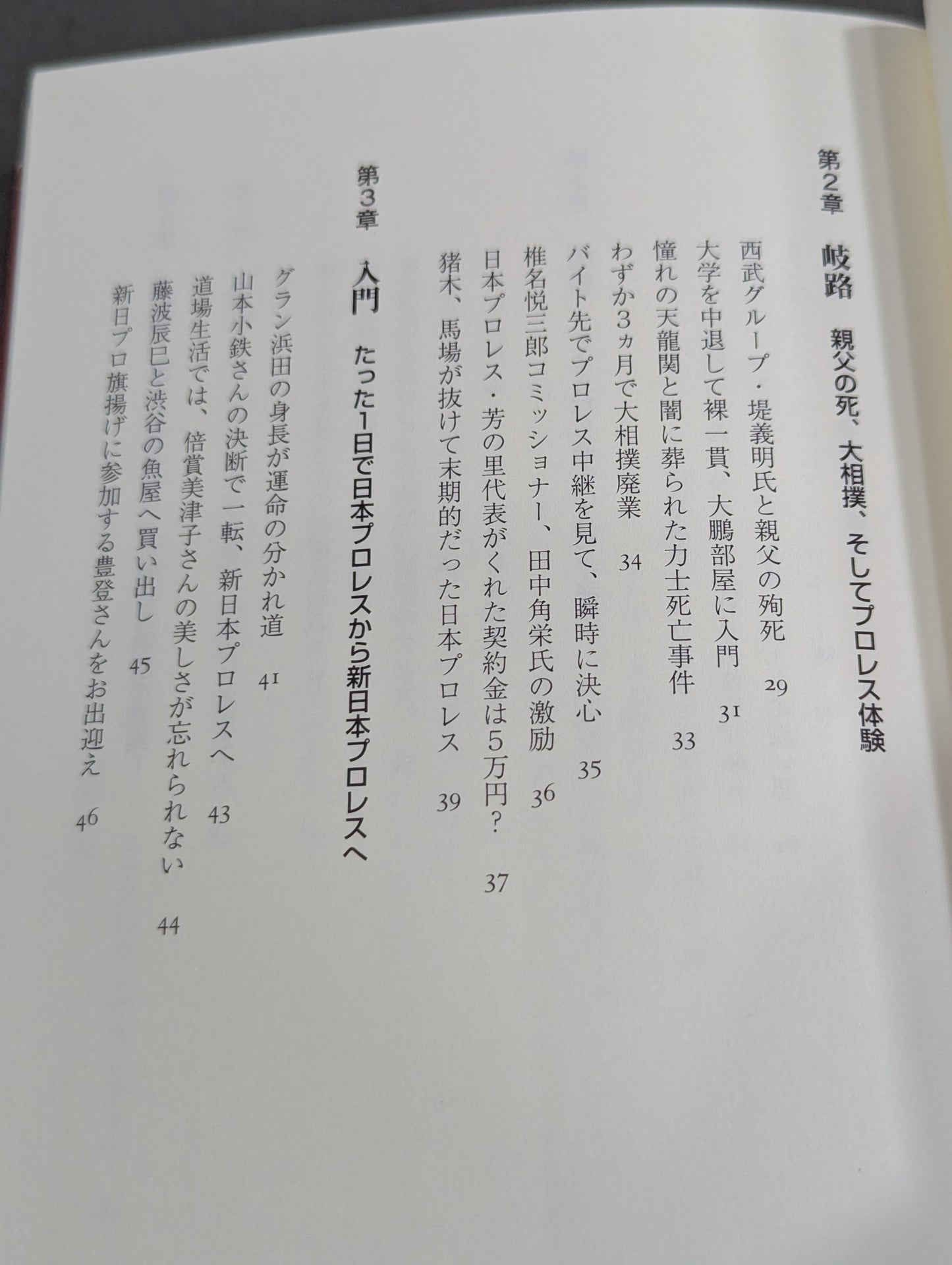 ある悪役レスラーの懺悔