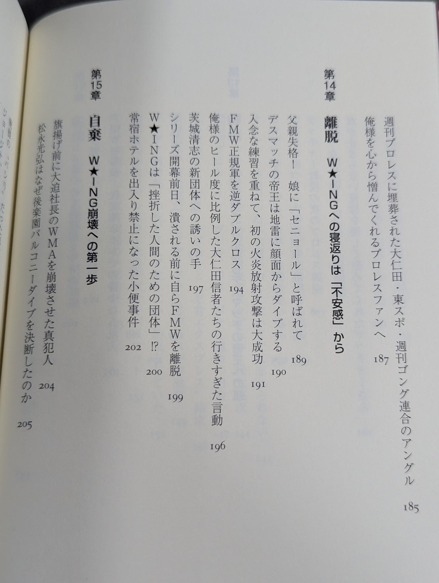 ある悪役レスラーの懺悔