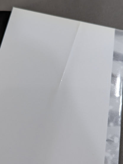 鎮魂歌 FMWはなぜ倒産したのか