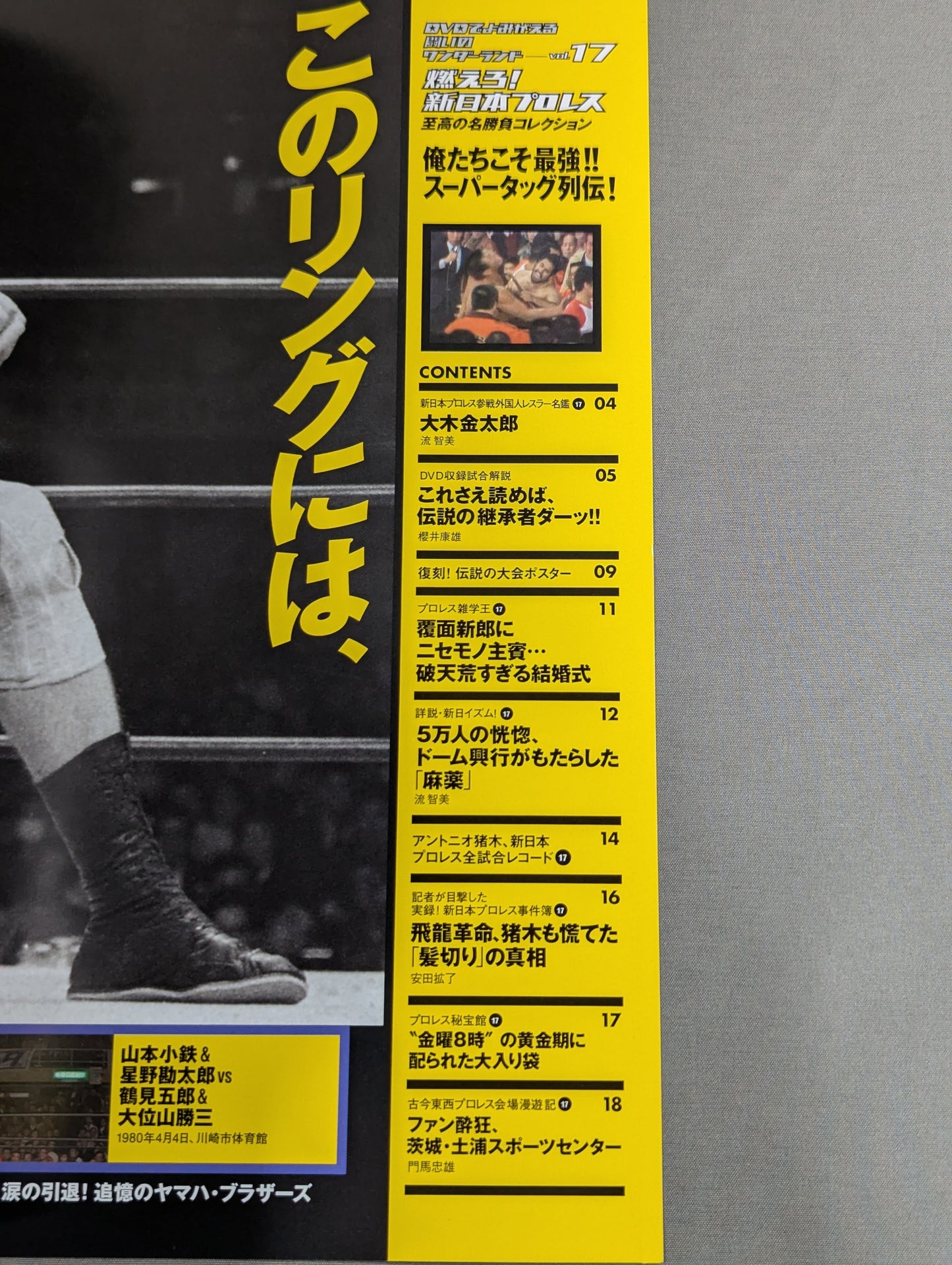 燃えろ!新日本プロレス vol.17