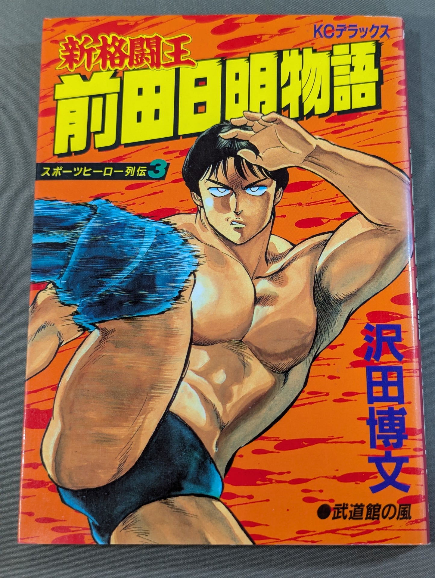 スポーツヒーロー列伝3 新格闘王 前田日明物語