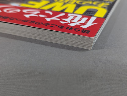 俺たちのプロレス Vol.1 UWFあの頃と今 12名の証言で浮かび上あがった「UWF30年目の真実」