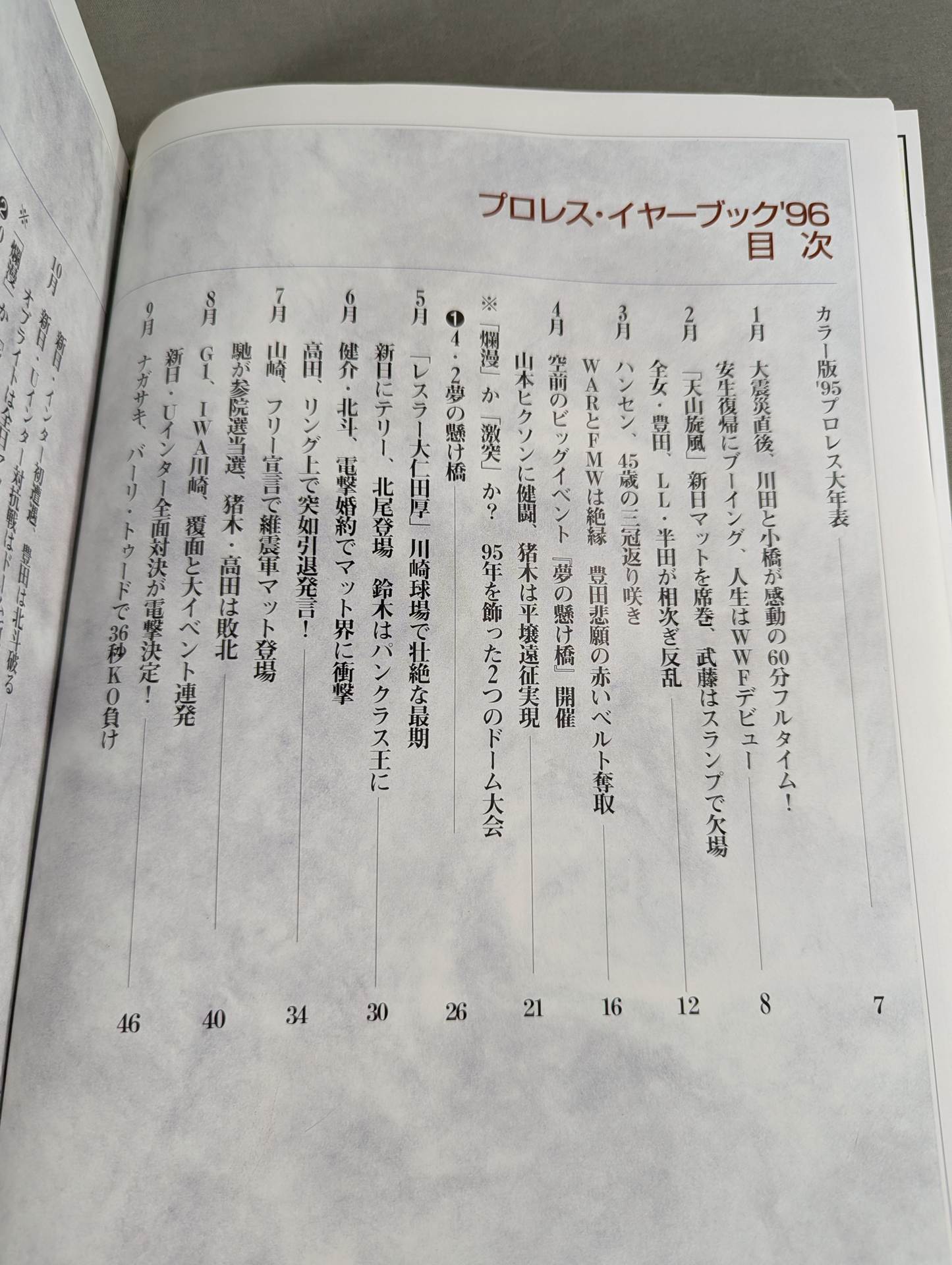 Pro Wrestling Yearbook '96