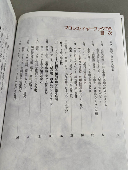 Pro Wrestling Yearbook '96
