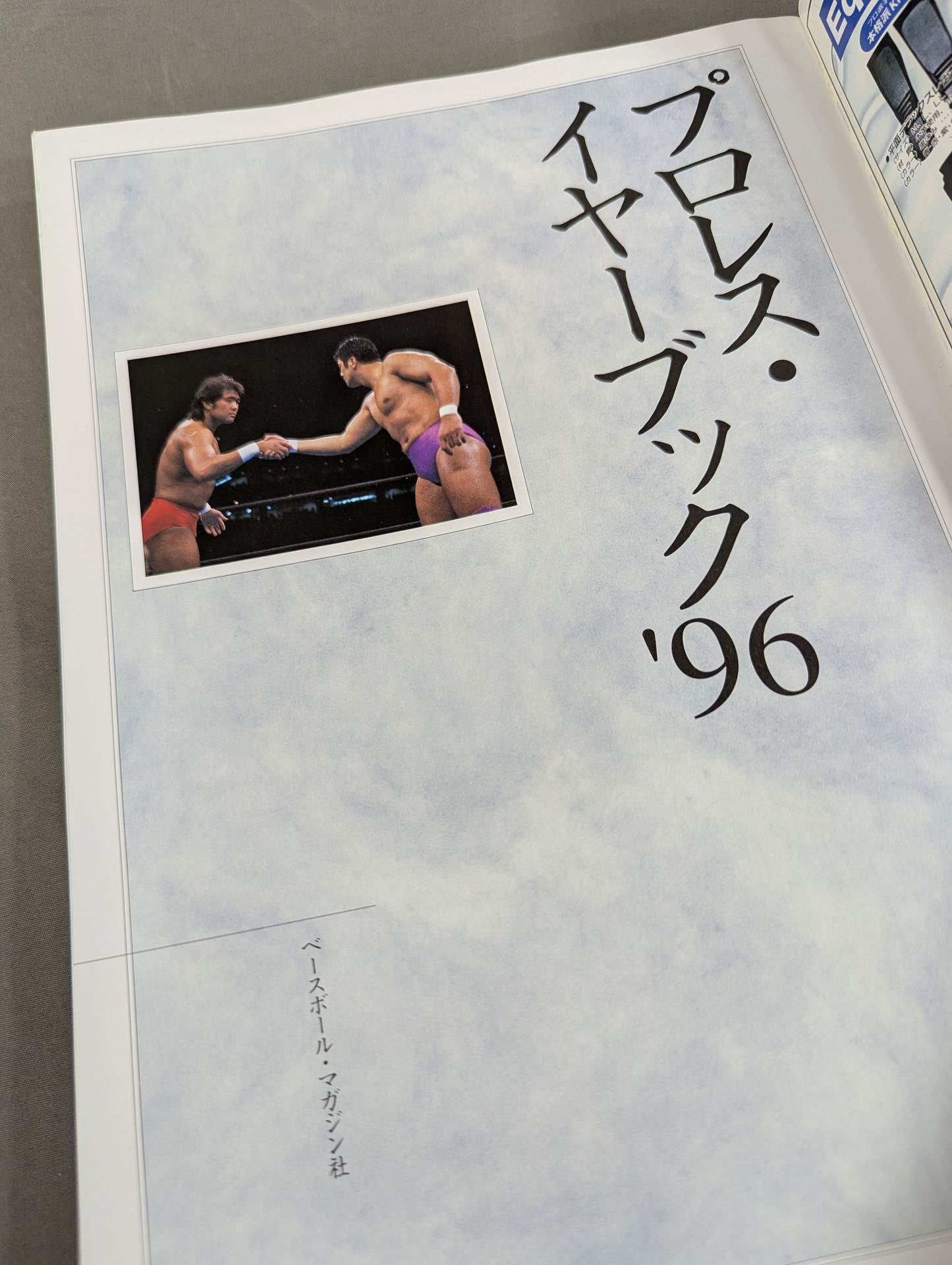 Pro Wrestling Yearbook '96