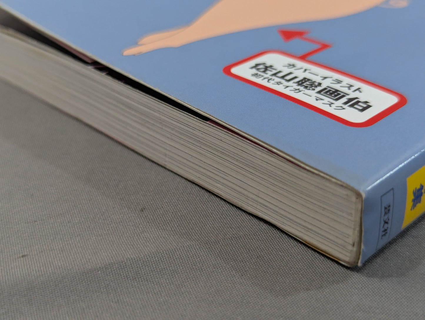 トンパチ 我が道を歩くトンパチレスラーインタビュー集