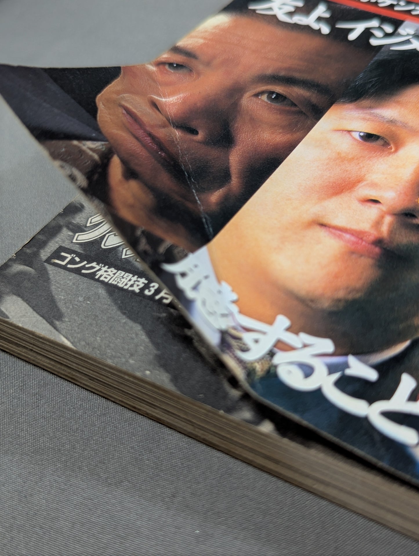 The Secrets of Fighting: 'Gon Rank' takes fights head-on with this book!
