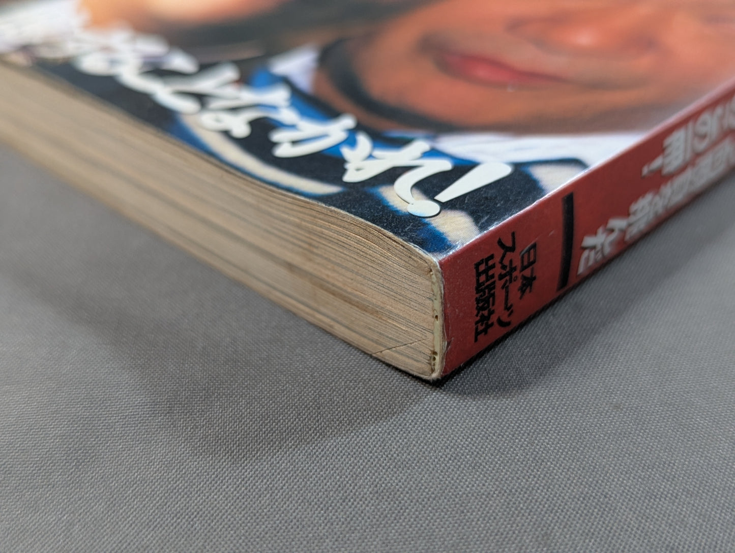 The Secrets of Fighting: 'Gon Rank' takes fights head-on with this book!