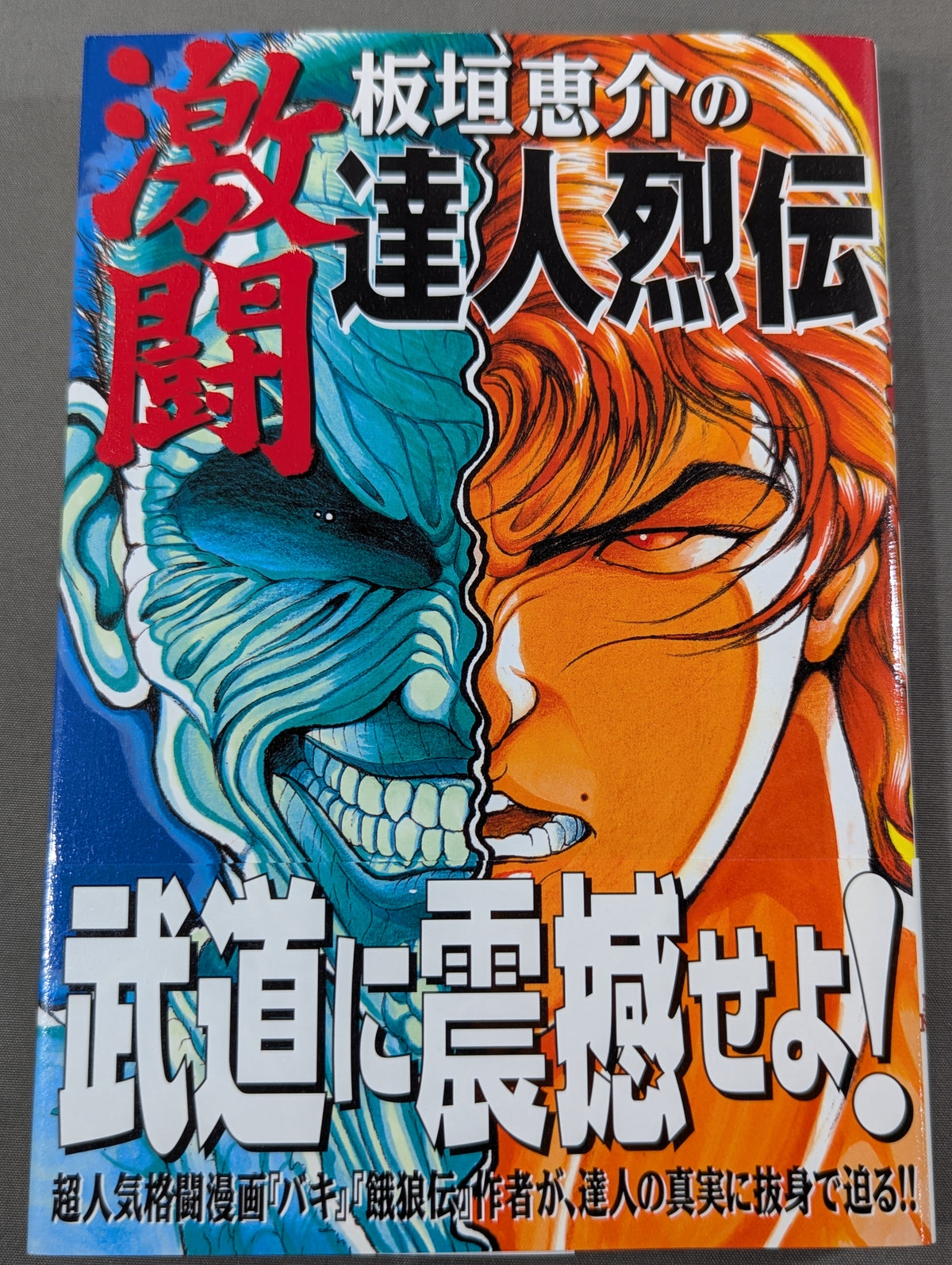 Keisuke Itagaki's Fierce Fighting Guru Retsuden