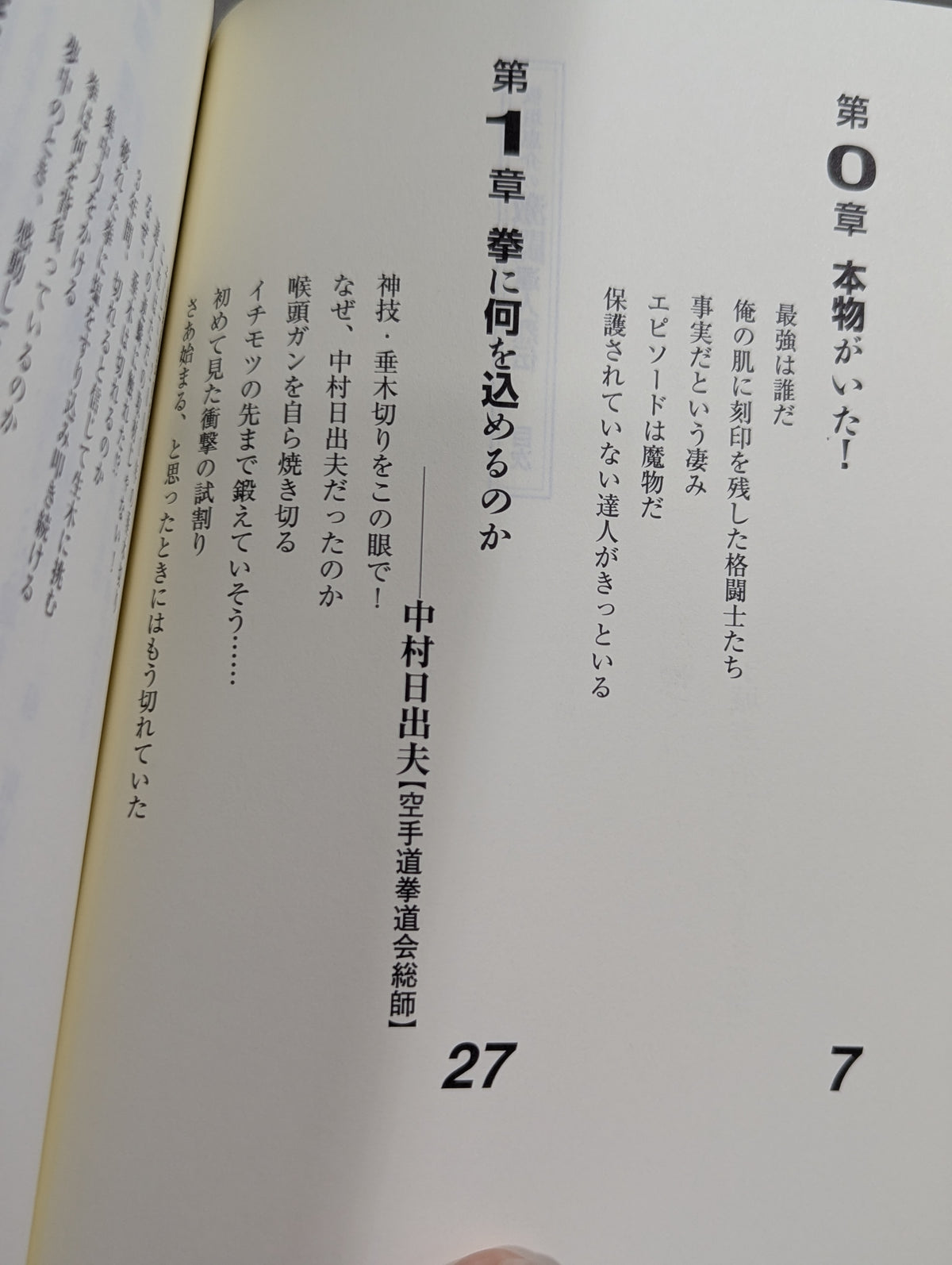 Keisuke Itagaki's Fierce Fighting Guru Retsuden