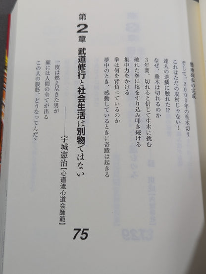 Keisuke Itagaki's Fierce Fighting Guru Retsuden