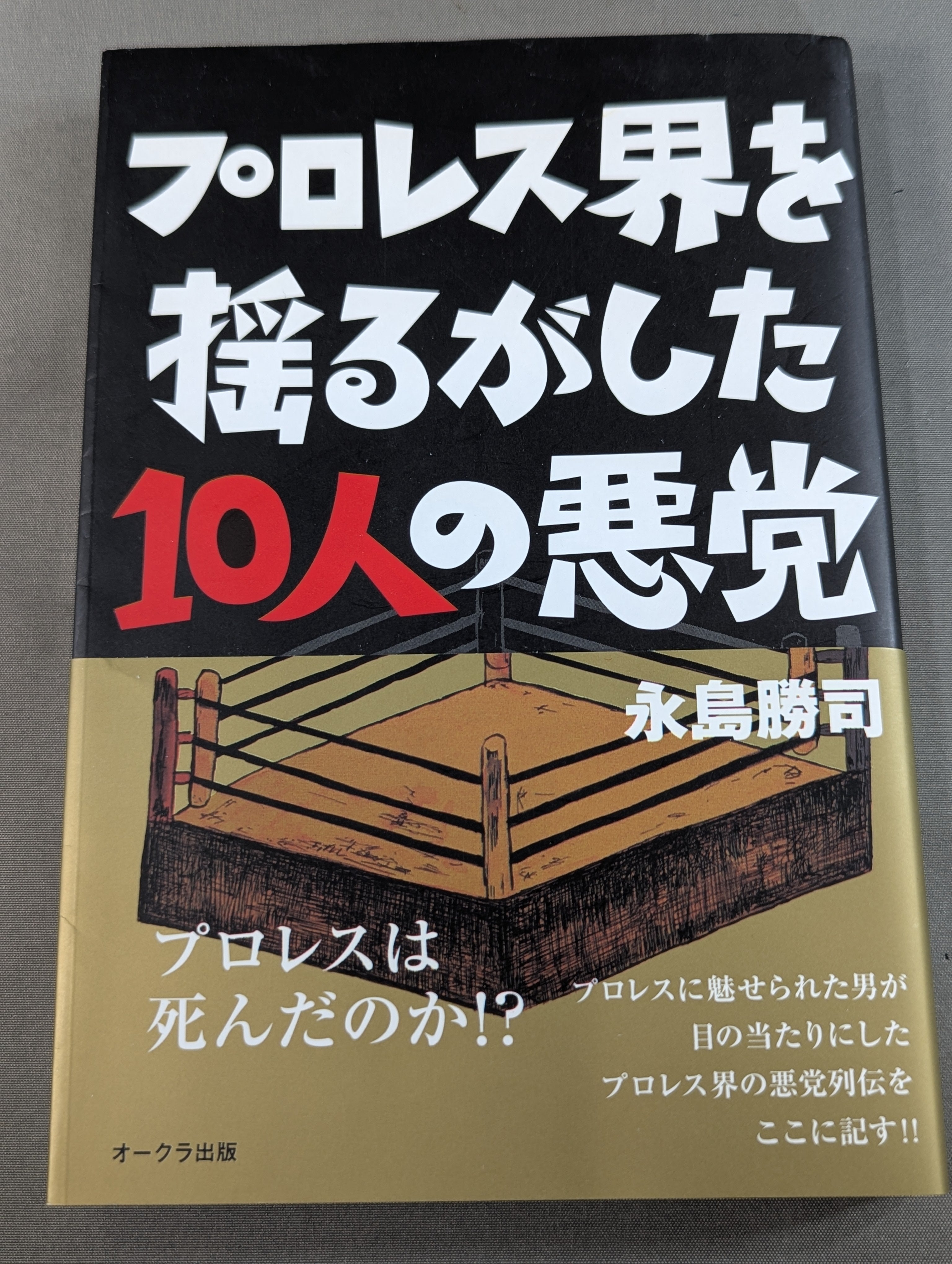 プロレス界を揺るがした10人の悪党 – 闘道館