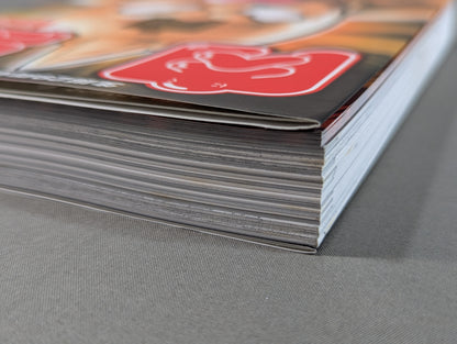 29th Anniversary Commemorative Publication: Nikuman ~Kinnikuman  Book of Ten Thousand Dolls~