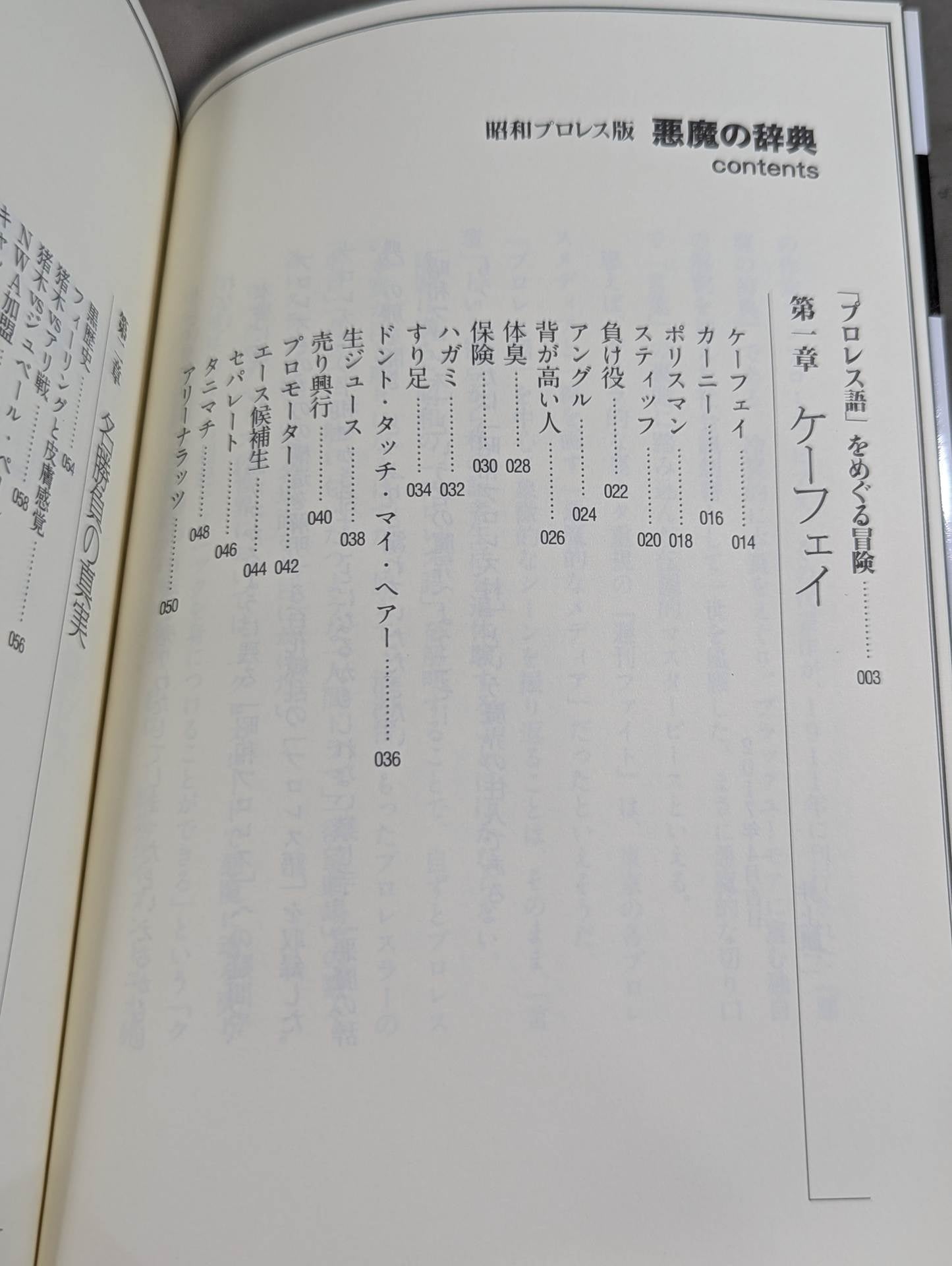 Showa Pro Wrestling  Edition Devil's Dictionary