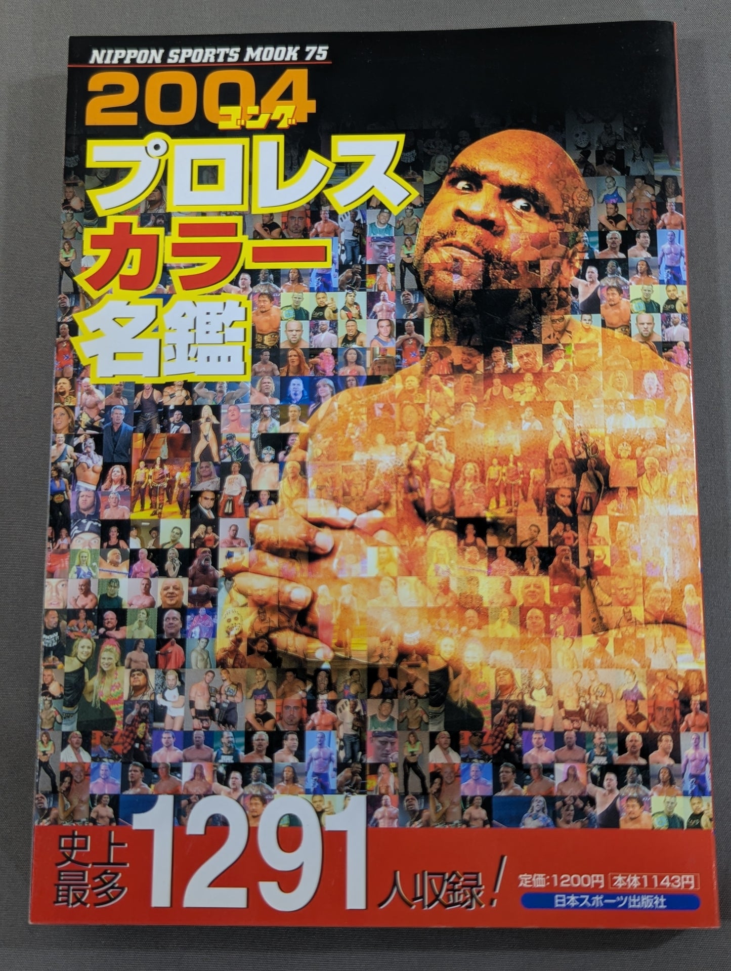 2004 Gong Pro Wrestling  Color Directory