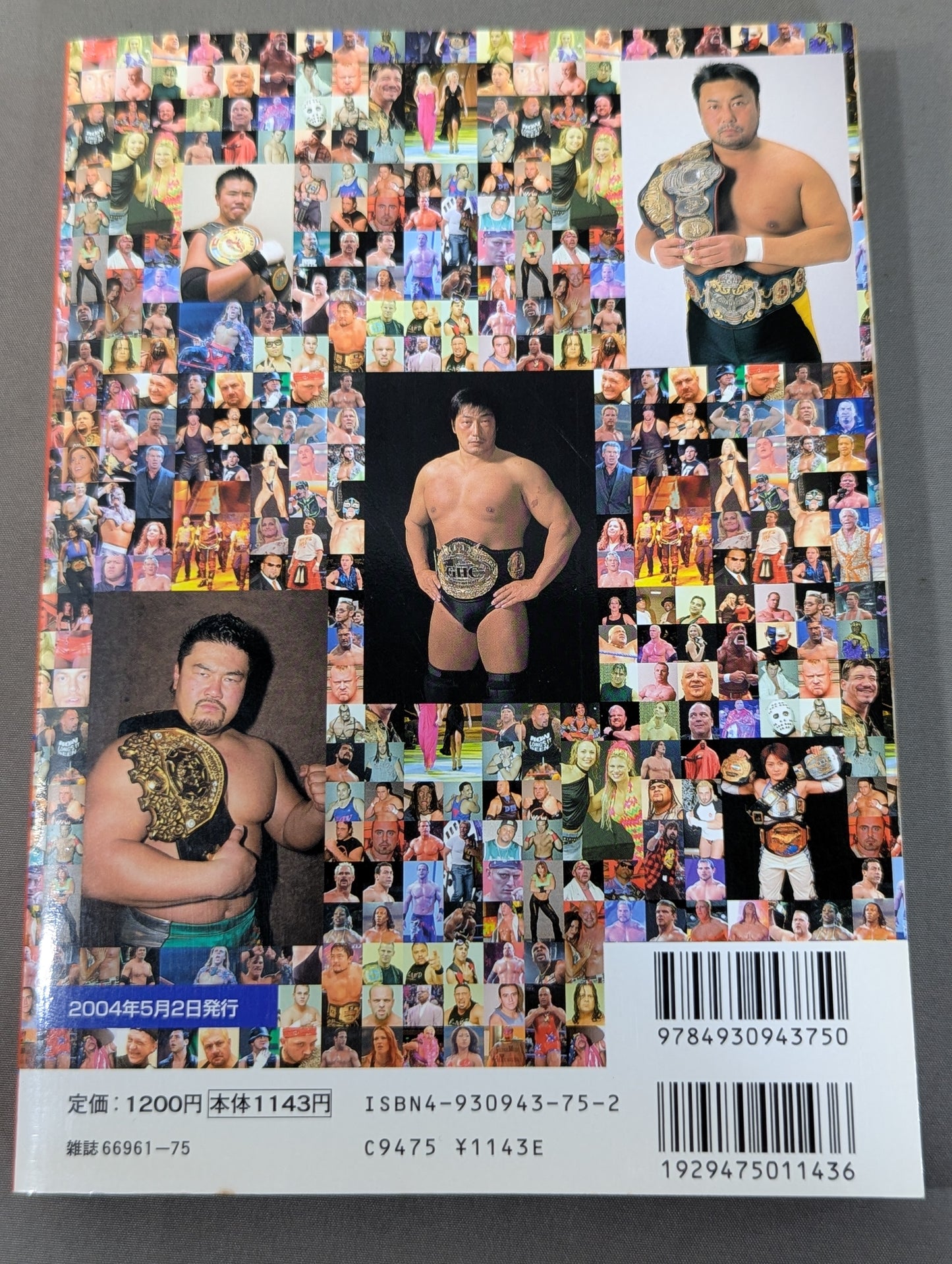 2004 Gong Pro Wrestling  Color Directory